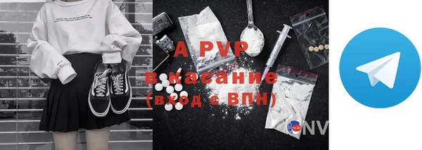 jwh Пересвет