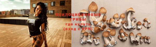 jwh Пересвет